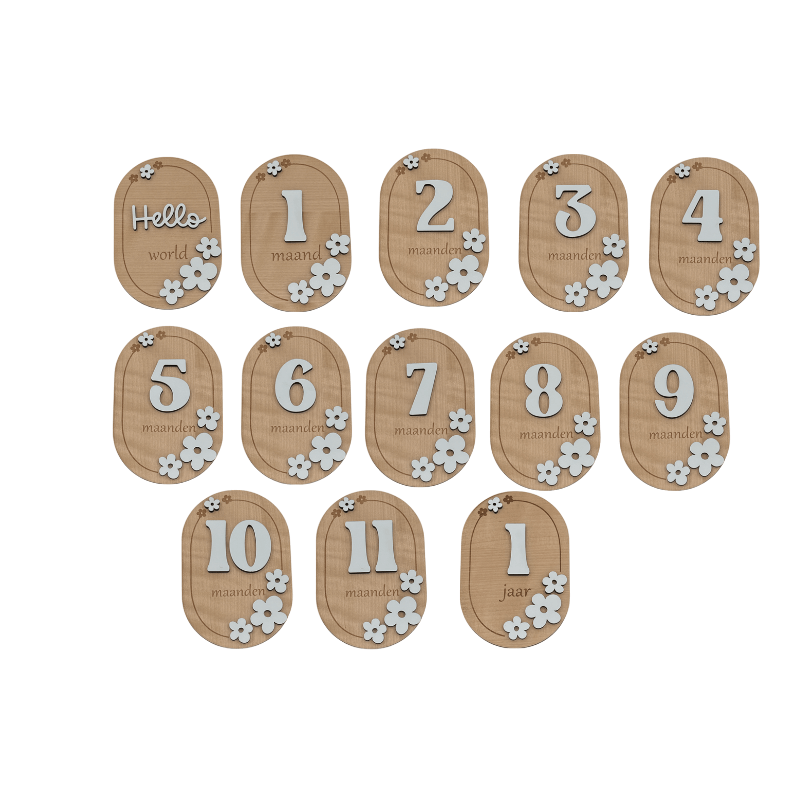 Mijlpaalkaarten Hello World - het eerste jaar - Laserboertje
